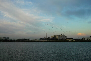 海辺の工業地帯