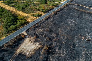 A stark contrast between a burnt field and a green forest The Dividing Line