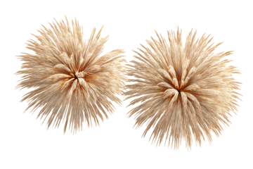 Golden fireworks bursting with elegance and celebration on a black backdrop