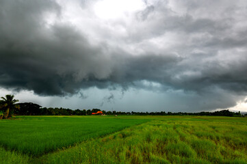 Super storm with sun light , Dark sky and dramatic black cloud before rain.rainy storm over rice...