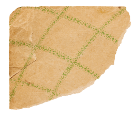 Tear corner of yellowed vintage book sheet, old paper with green grid pattern isolated for design