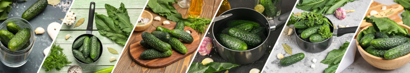Collage of many fresh cucumbers prepared for preservation