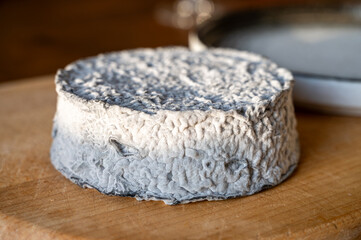 French goat cheese selles-sur-cher, France, cheese tasting