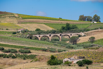 Naklejka premium View on hills with vineyards and olive groves from Palermo-Trapani highway, Sicily, vacation destination in Italy