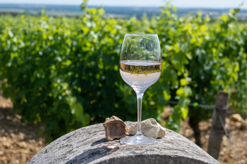 Glass of dry wine from vineyards of Pouilly-Fume appelation and view on vineyards and  flint...