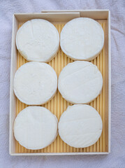 Rocamadour soft goat AOC cheese with soft rind on aging process produced on farm in Perigord and Quercy takes its name from village of Rocamadour in departement Lot, France