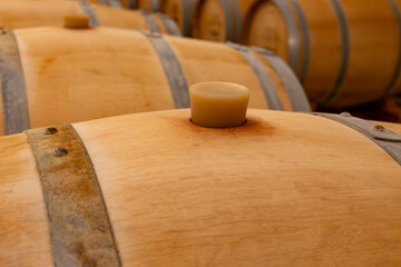 Visit of undergroud caves witn wine barrels in Cahors wine production area, red malbec wines, wine...