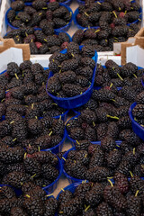Tasty ripe black violet sweet juicy mulberry berries in boxes on food market in Palermo, Sicily,...