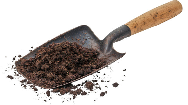 A shovel filled with soil on a black background ready for planting in the garden or flower bed