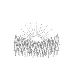 Line art illustration of a sunrise over a coniferous forest. Minimalist design.