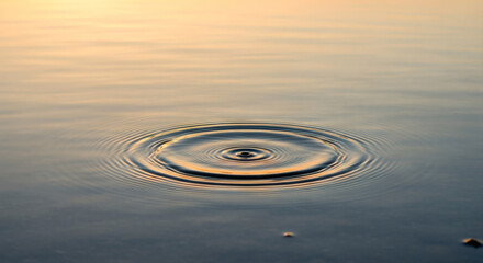 Water ripples spreading outwards in a concentric pattern on a calm surface at sunset light