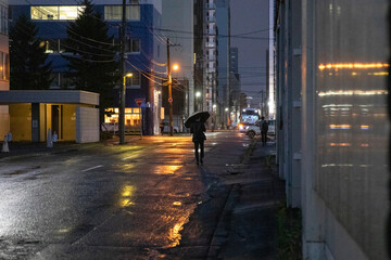Sapporo Hokkaido Japan cityscape