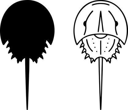 Horseshoe crab silhouette and outline vector black and white icon isolated illustration image decal design file download