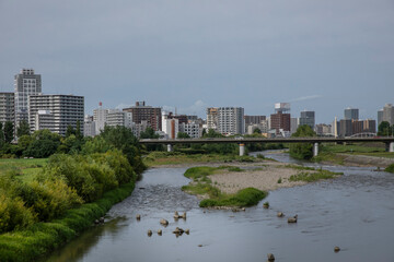 Sapporo Hokkaido Japan cityscape
