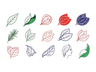 Nature's Palette: A captivating illustration showcasing diverse leaf formations, painted with a kaleidoscope of vibrant hues. Featuring intricate details and designs in an artistic.