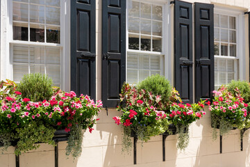 Vibrant flower boxes filled with pink and red blooms decorate windows with black shutters in the historic district,
