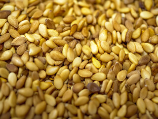 A close-up shot of a pile of toasted sesame seeds known as susam in Turkey the golden brown color and rich texture make a perfect background for culinary concepts