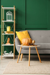 Interior of cozy living room with sofa, shelf unit and autumn decor