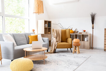 Interior of light living room with armchair, sofa and pumpkins