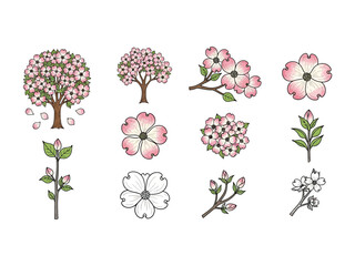 Blossom of Spring: A collection of artistic rendering cherry blossom illustrations in delicate shades of pink and white, celebrating the ephemeral beauty of springtime.