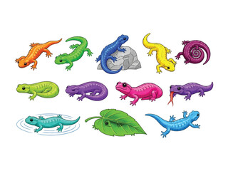 Colorful Salamanders in an Artistic Display: Vibrant and whimsical illustrations showcase a diverse collection of salamanders in various hues, representing nature's artistic side.