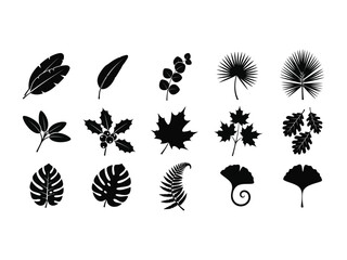 Silhouette Leaf Collection: A striking black and white silhouette composition of an array of diverse leaves.