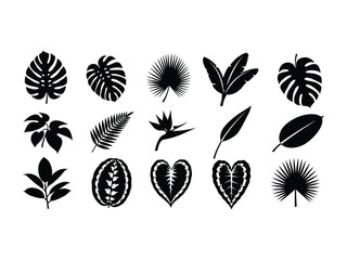 Naklejka premium Leaf silhouette: A graphic of various tropical leaf silhouettes, showcasing diverse shapes and textures, perfect for design purposes.