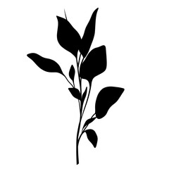 Minimalist Silhouette Delicate Branch with Leaf Illustration Graphic Asset