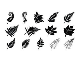 Leafy Abundance: A stunning array of diverse plant leaf illustrations, perfect for botanical studies, showcasing the intricate forms and graceful details of natural foliage.