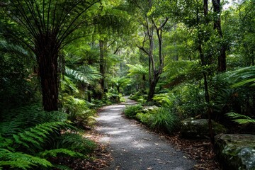 Obraz premium Scenic trail in the park
