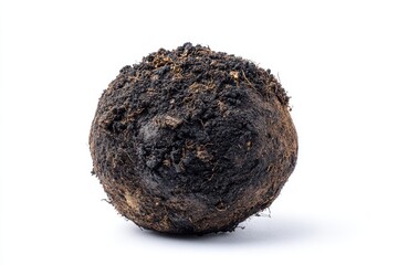 Fototapeta premium Soil clump for planting on white background