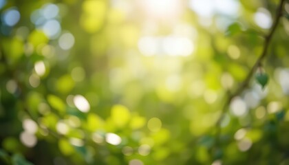 Obraz premium Gentle sunlight filters through a canopy of leaves, creating a peaceful, blurred background of green and gold tones