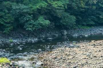 渓流で鮎釣りを楽しむ釣り人と自然豊かな川の風景