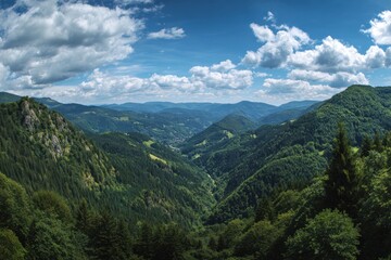 Stunning view of mountains among lush forest under a blue sky
