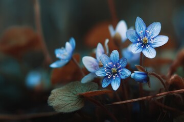 tiny blue blooms stunning natural scene close up of spring flora
