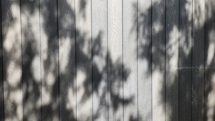 Gray wood, gray wood panel, plant shadow on gray wood panel, gray wood texture, wood texture