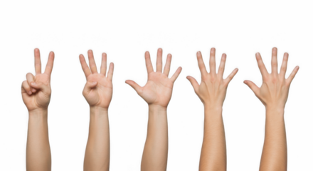 Set of Hands Counting Two, Three, Four, and Five Fingers Isolated on White Background