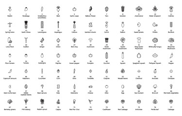 스톡_채소_아이콘