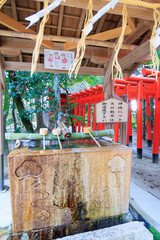 大阪府枚方市の意賀美神社のお手水