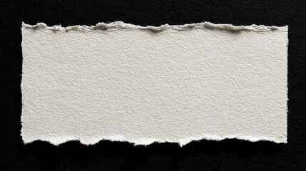 Blank paper texture with torn edges