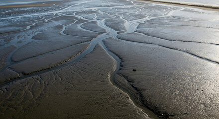 Tidal Mudflats with Water Channels at Low Tide Landscape