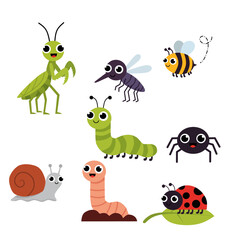Cute cartoon set of insects and small creatures including praying mantis, mosquito, bee, caterpillar, spider, snail, worm, and ladybug, perfect for kids design and education