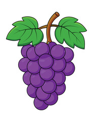 Fresh Purple Grapes with Green Leaves Illustration