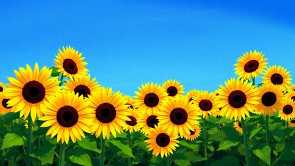 Obraz premium Vibrant field of sunflowers under a clear blue sky on a sunny day