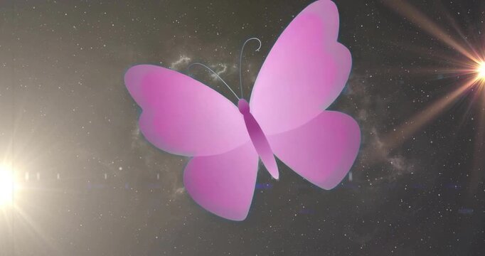 On start pink butterfly emerging from starscape, flapping curved wings rotating showing motion