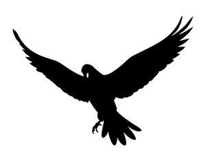eagle silhouette vector