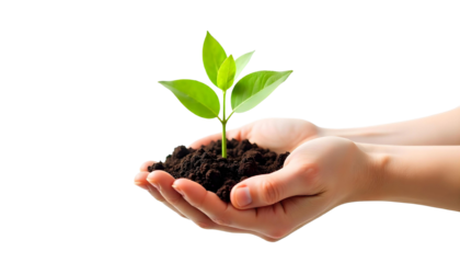 A pair of hands holding a young plant with dark soil, emphasizing the importance of soil conservation and biodiversity