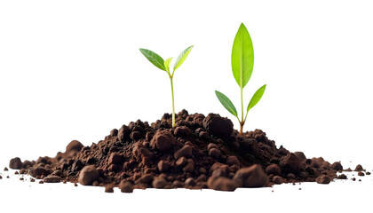 A young plant emerging from a pile of rich soil, highlighting the significance of sustainable agriculture and soil conservation