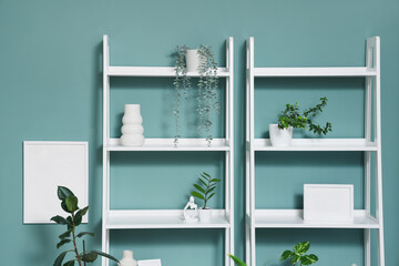 Shelving units with houseplants near mint wall in living room, closeup