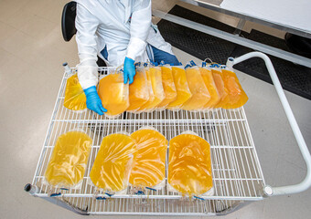 Overhead image of a lab worker handling bags of human plasma. There are no labels on the bags
